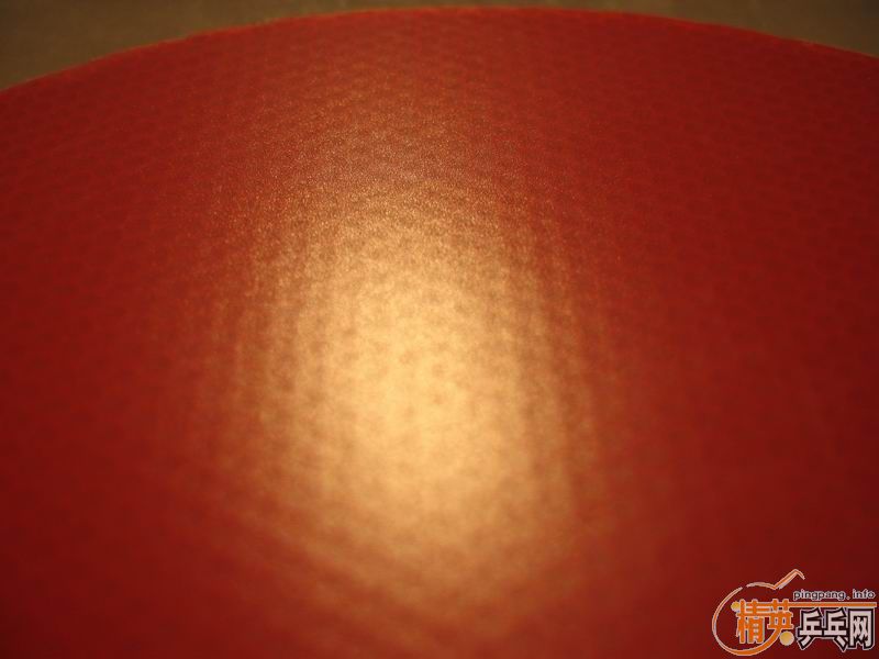 �л��� ��FLʵ�ĺ��5��4+��ɫ470+��ɫTACKIFIRE-C