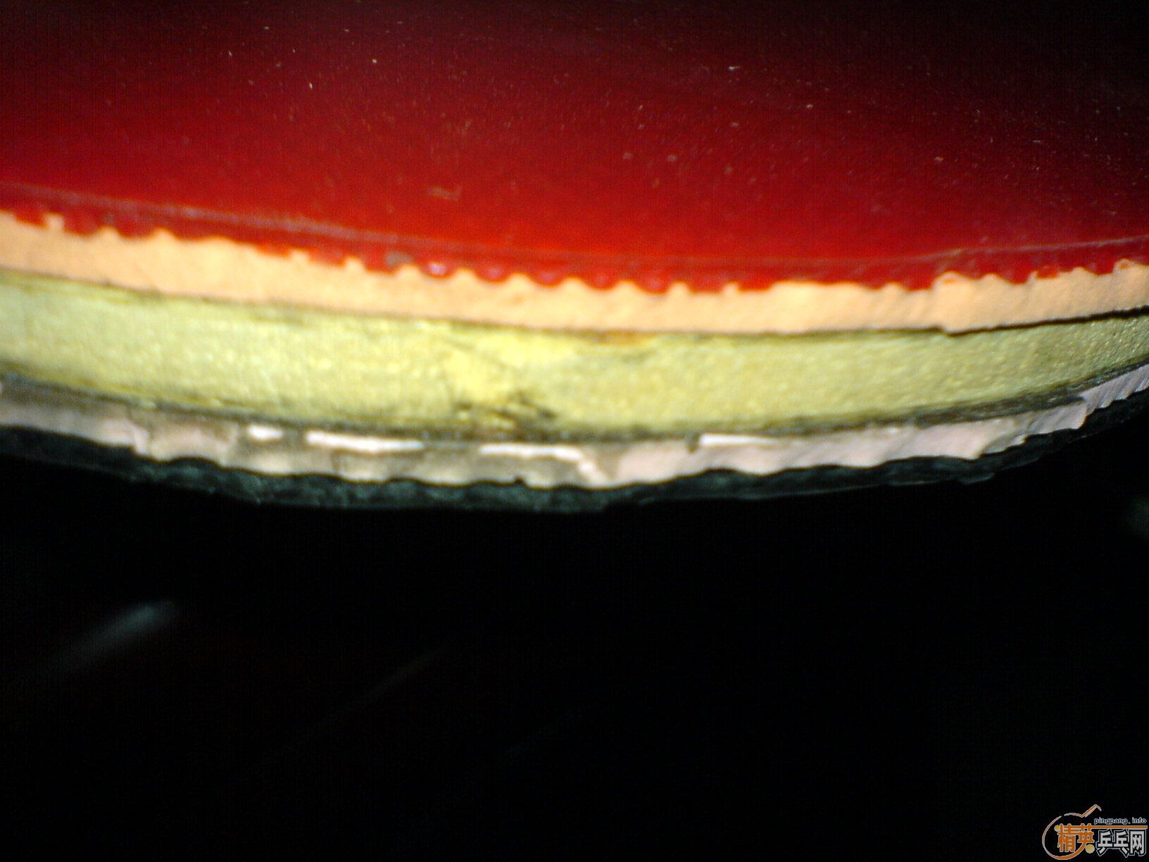 ���������ۺ���������֧����