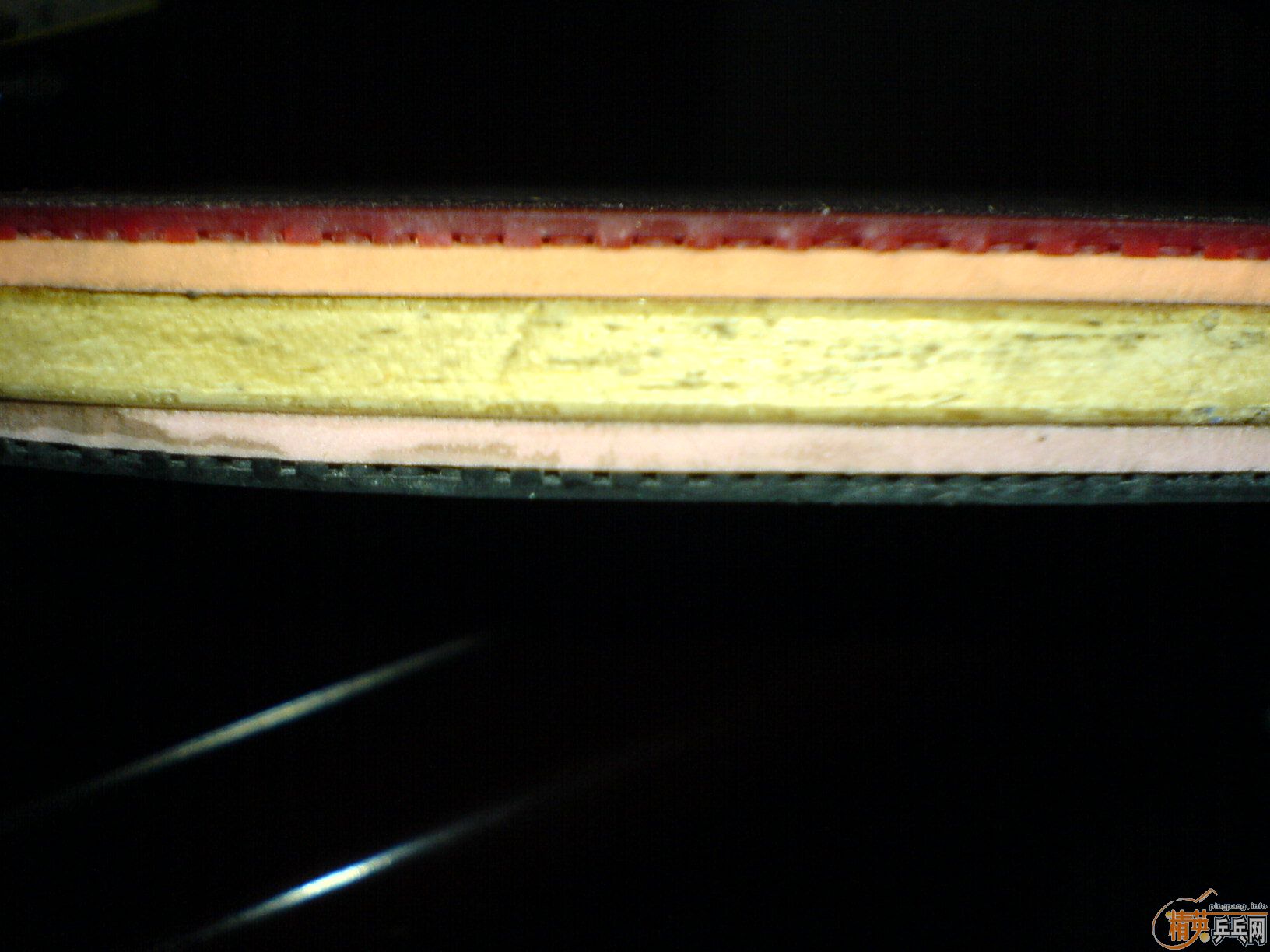 ���������ۺ���������֧����