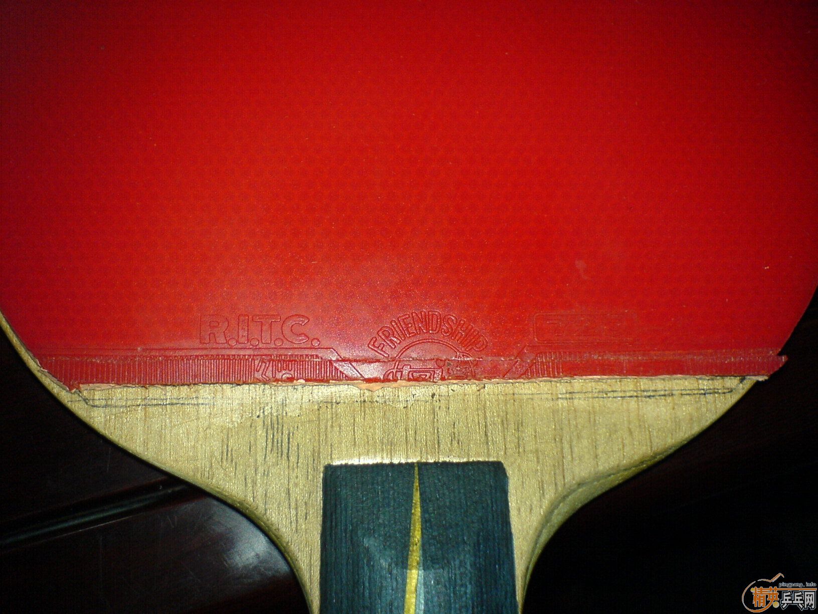 ���������ۺ���������֧����