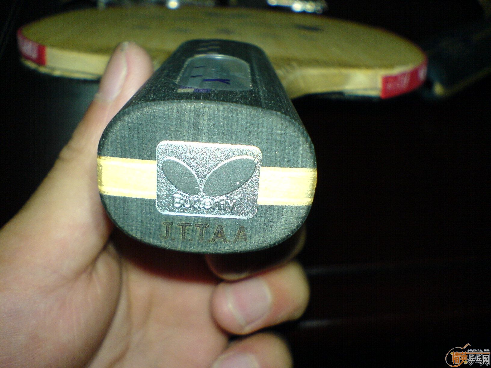 ���������ۺ���������֧����