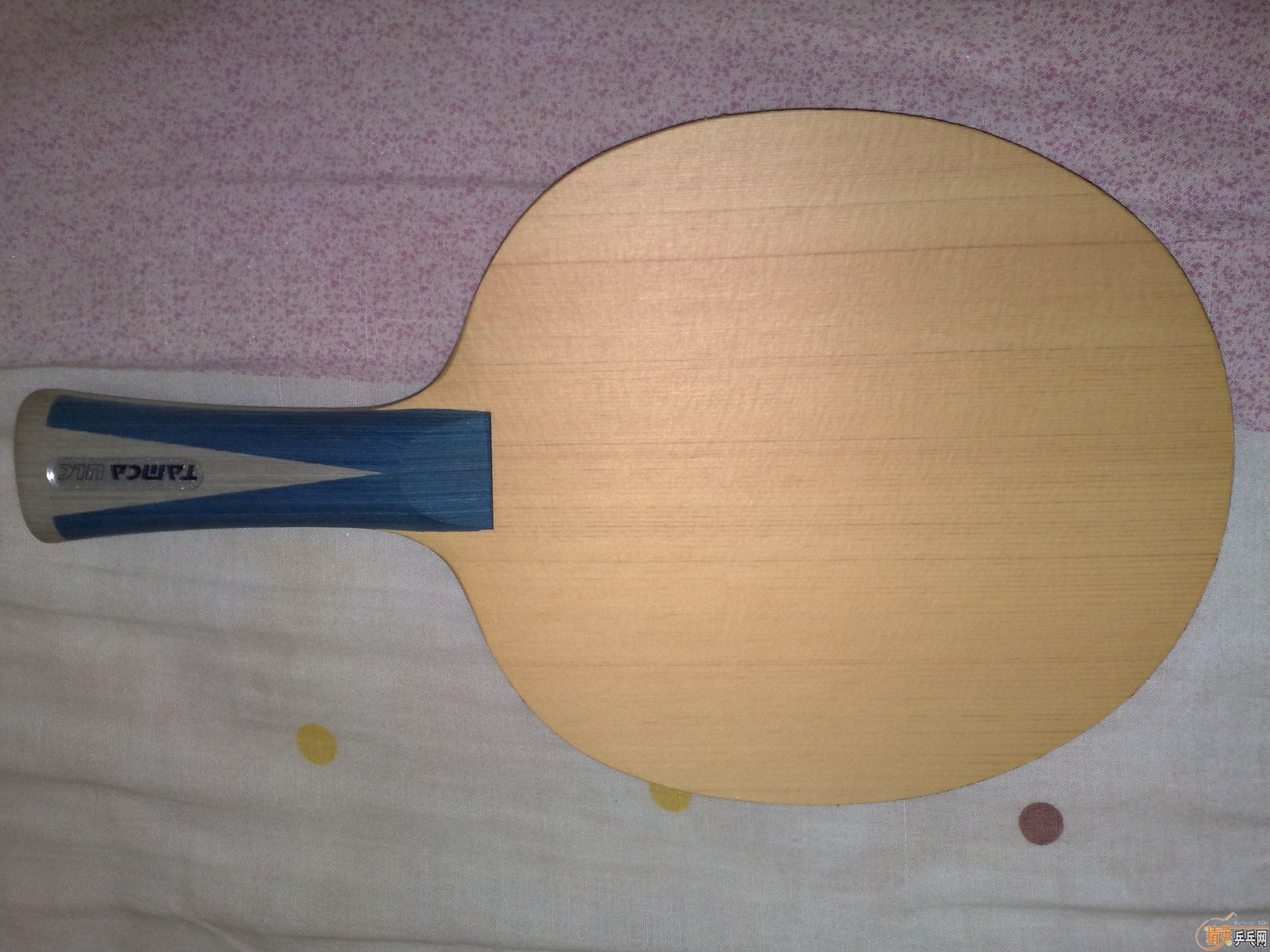 �ٳ��������ذ�ISHLION������Ȥ����������