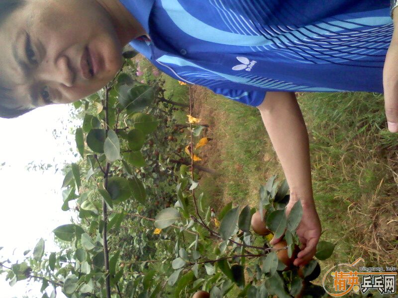 ��������������͵���ӣ�