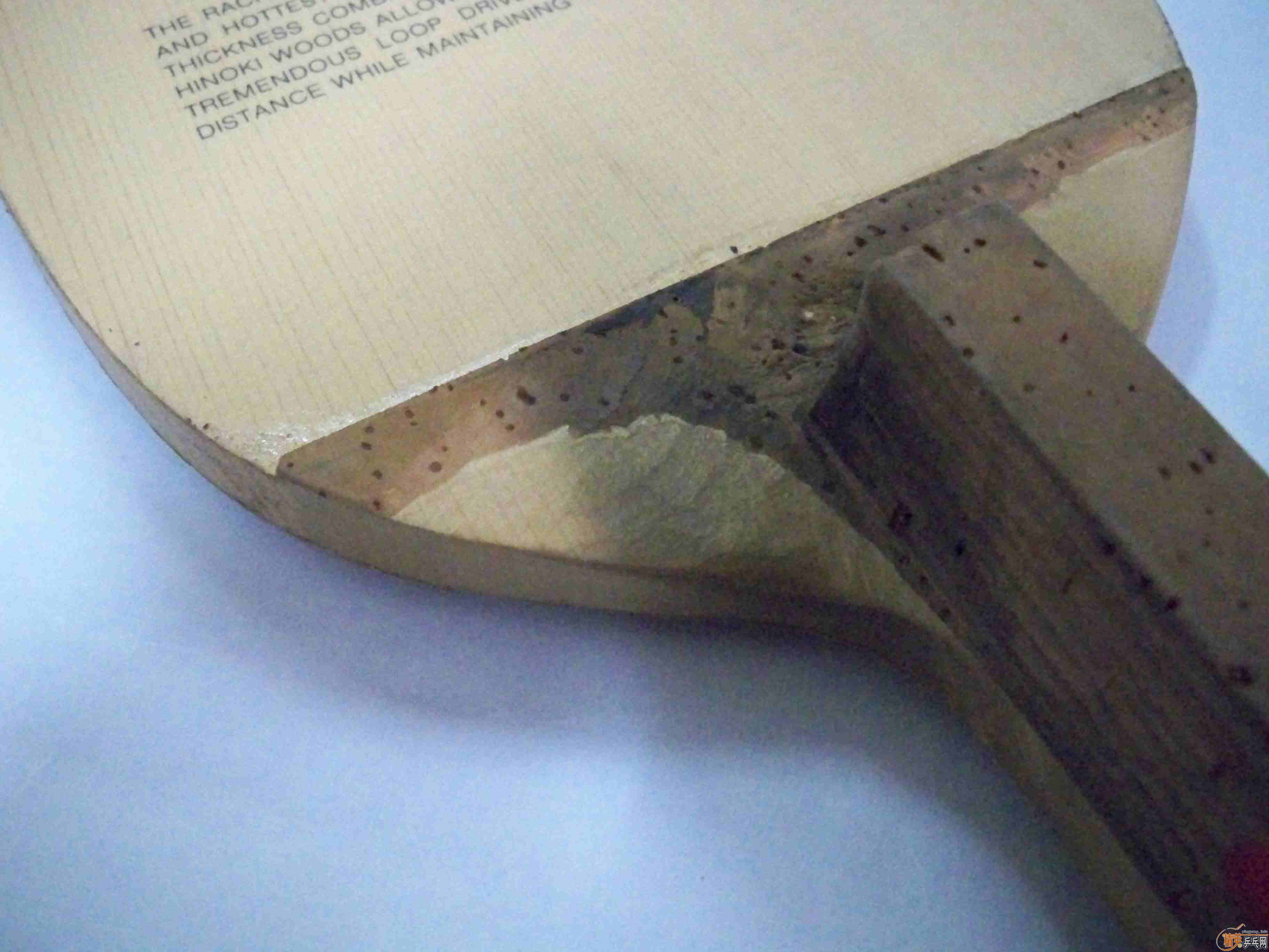 ���Ͻ� 2000Ԫ