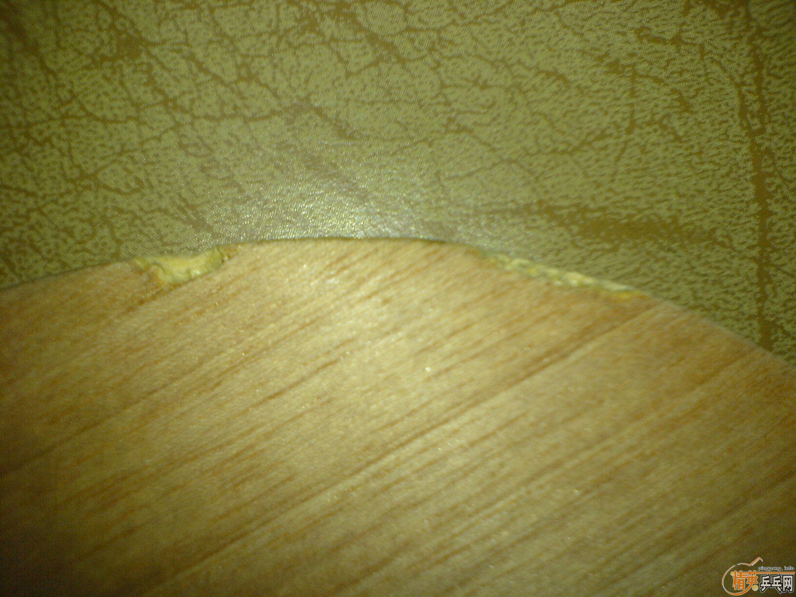 �ϸ�ͥYE�����ã��������ۺ���������֧����