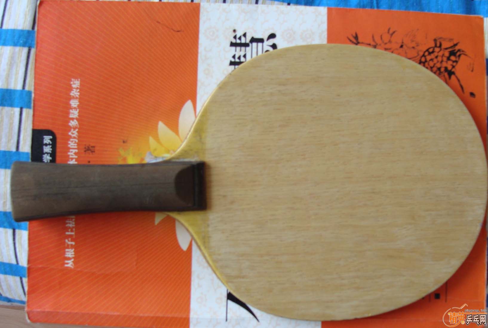 ��С��רҵ������490����QQ��446796951