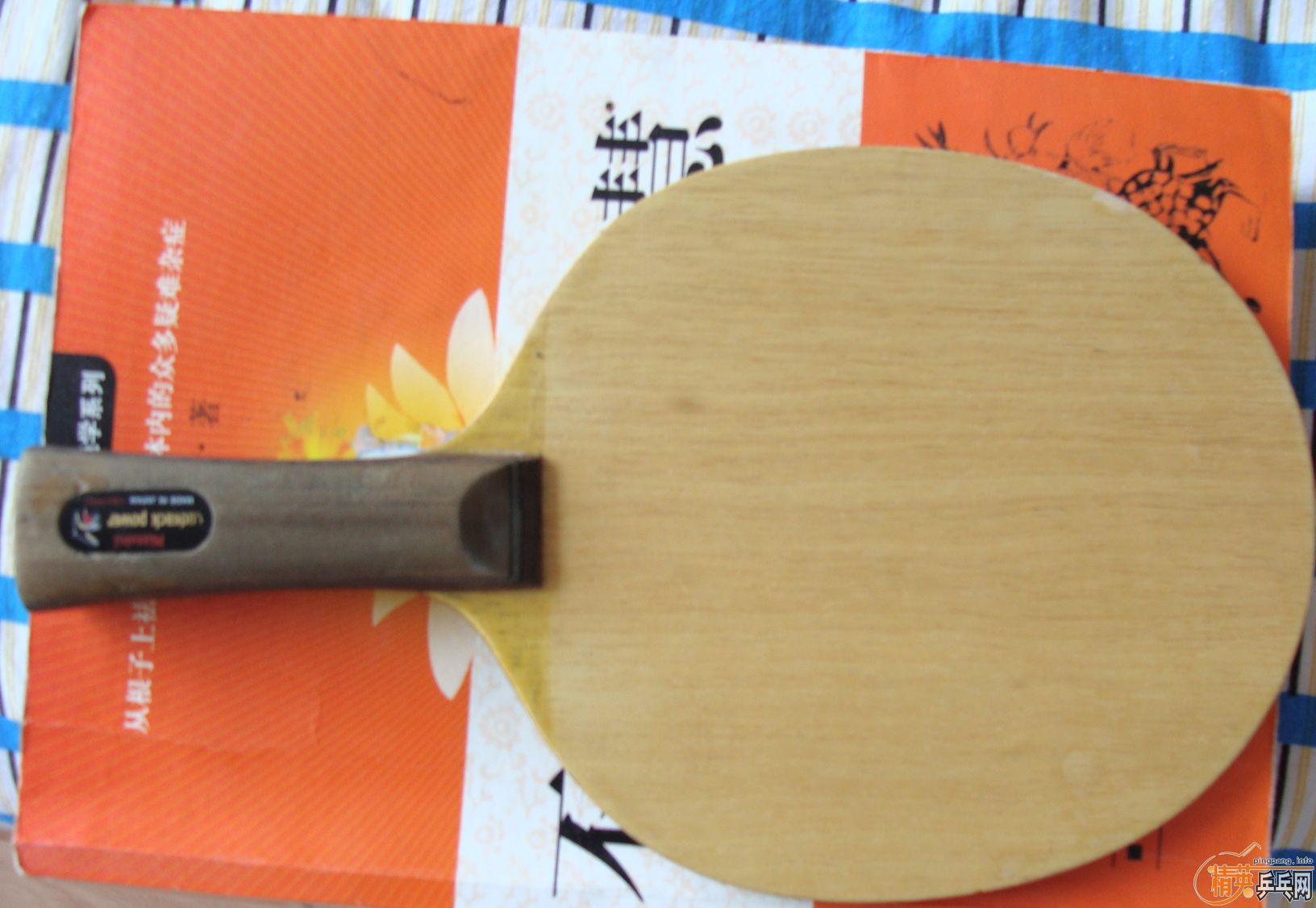 ��С��רҵ������490����QQ��446796951