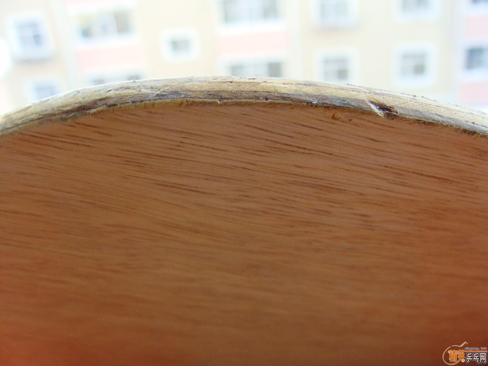 ��С��רҵ������490����QQ��446796951