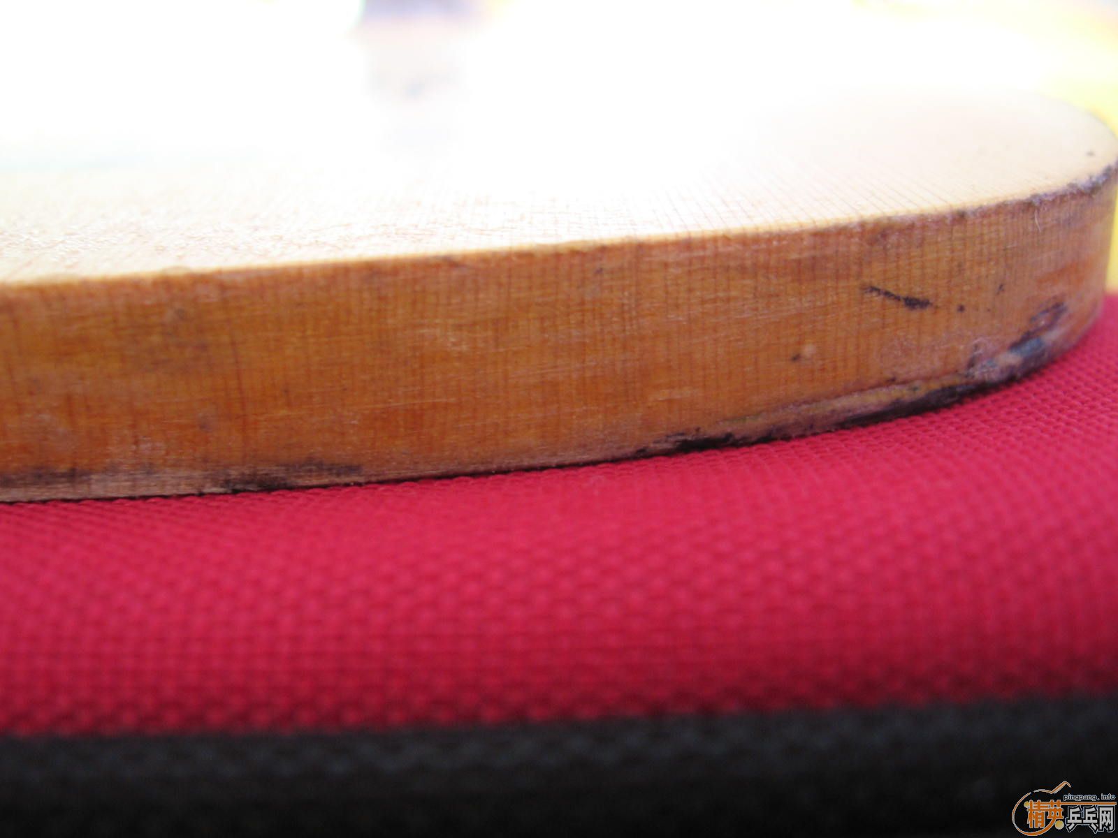 �� CPRESS MAX  100�� 1000����