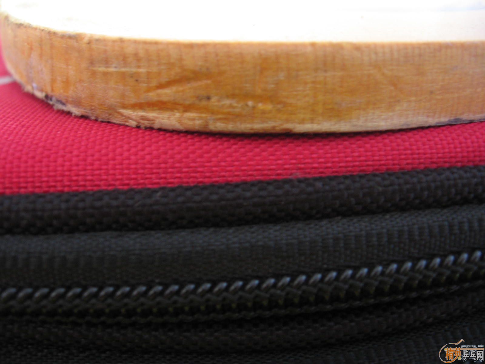 �� CPRESS MAX  100�� 1000����