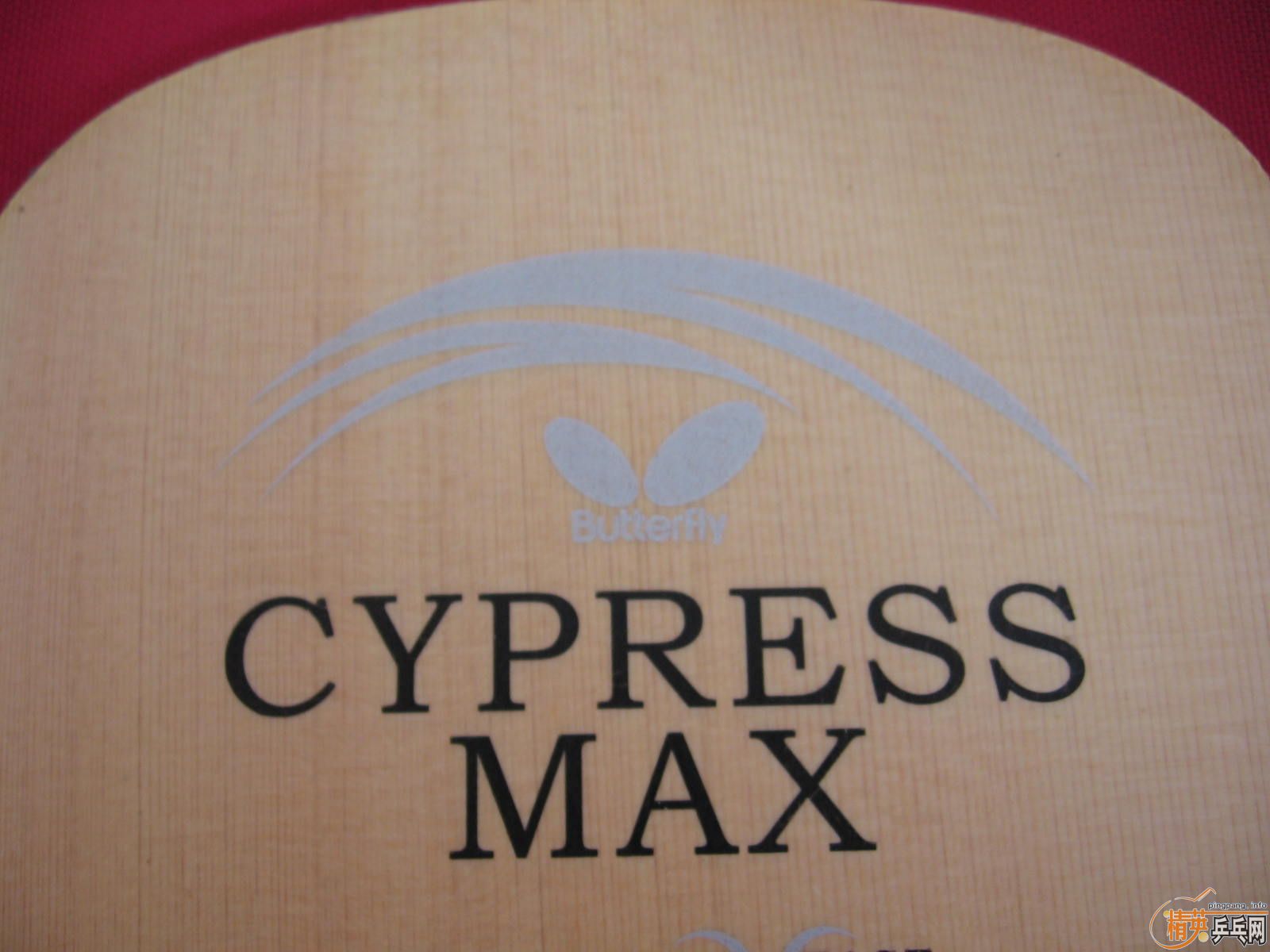 �� CPRESS MAX  100�� 1000����