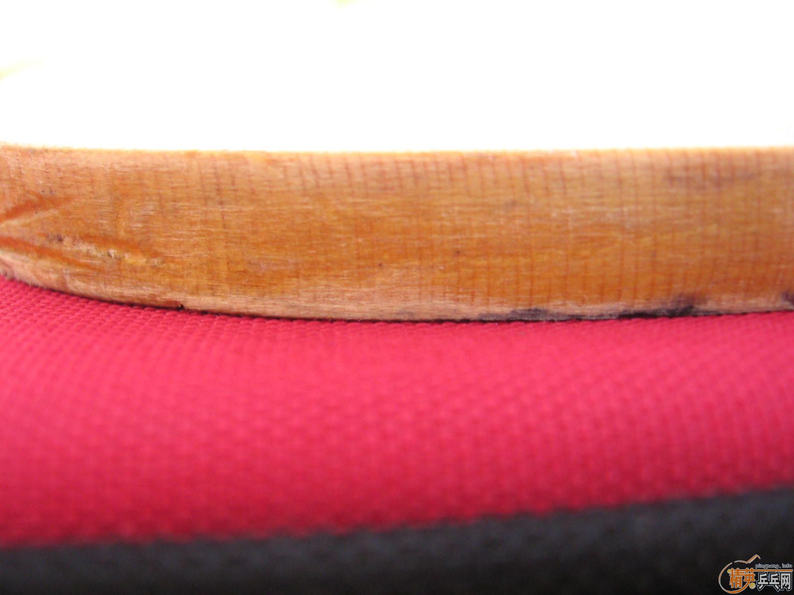 �� CPRESS MAX  100�� 1000����