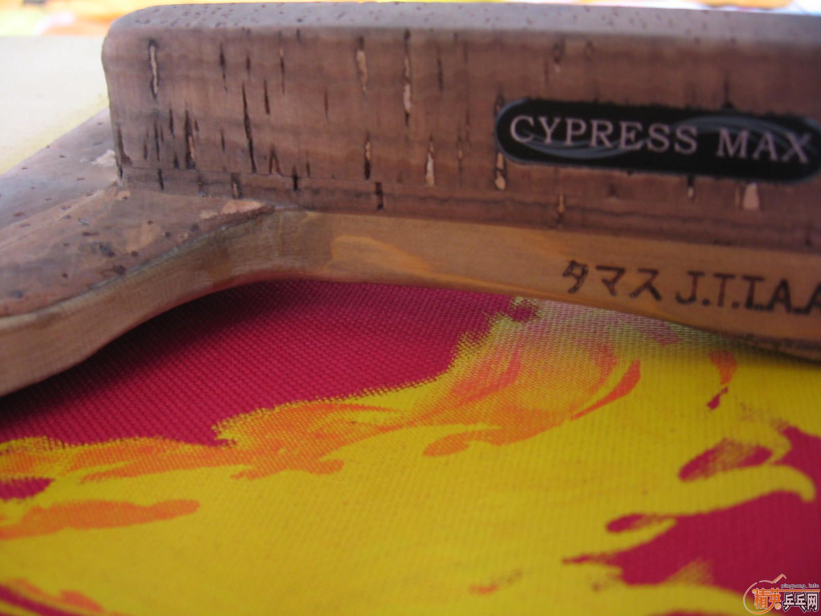 �� CPRESS MAX  100�� 1000����