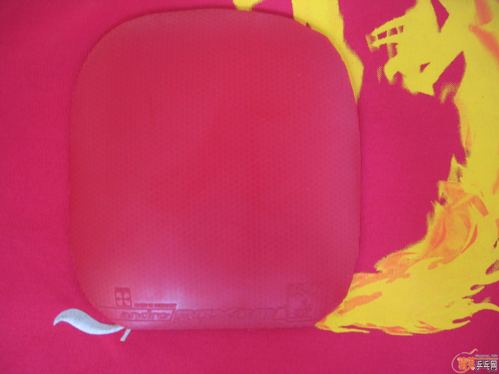 �� CPRESS MAX  100�� 1000����