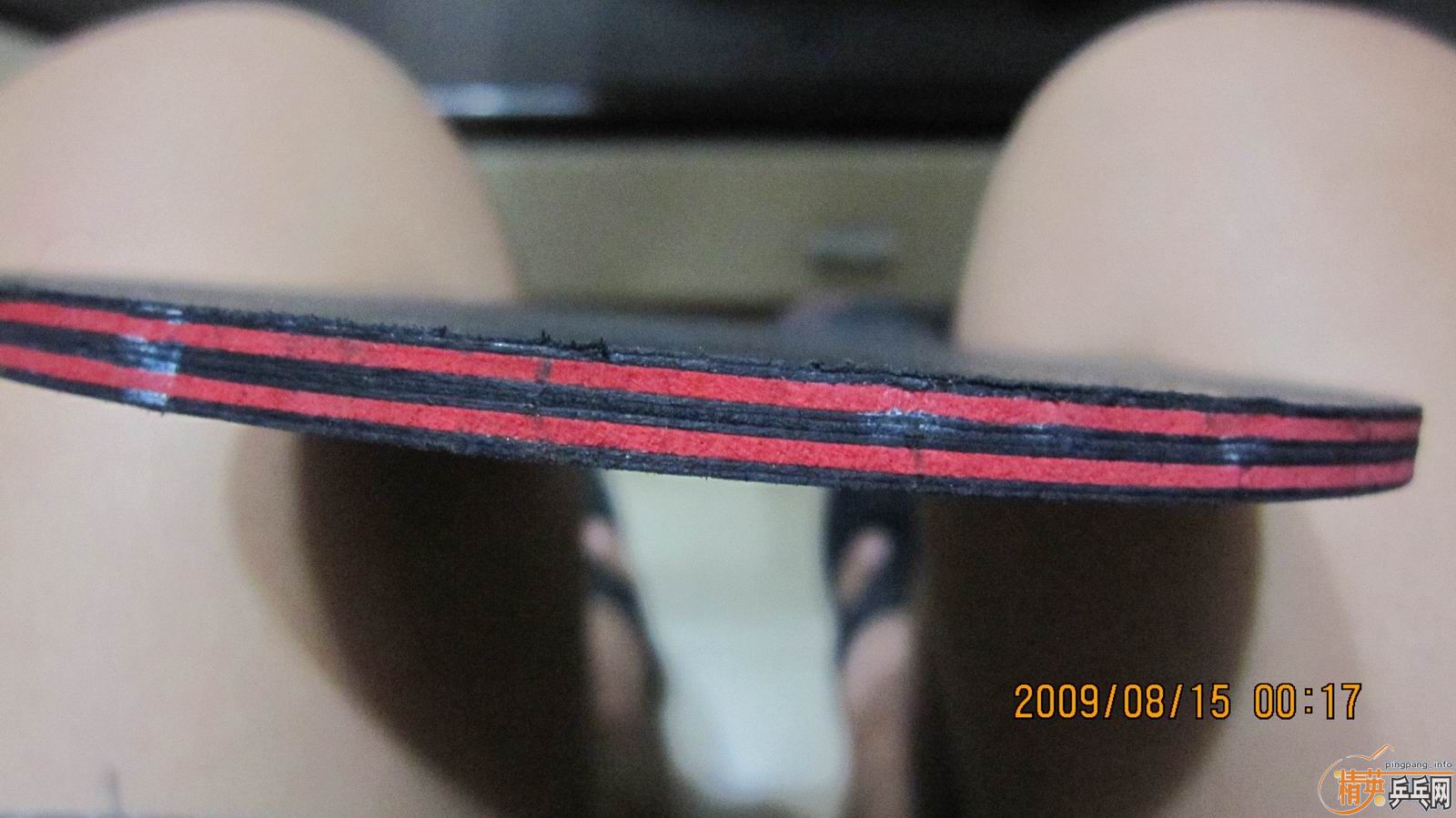 ��֧���������������ѳ�ŷ������̼��������450��˳��