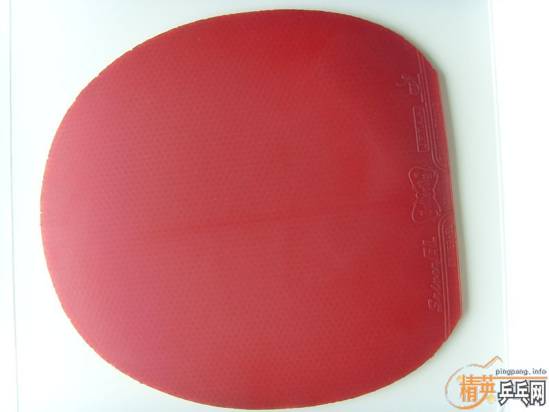 ����EL MAX��������JO�����׽�100Ԫ����