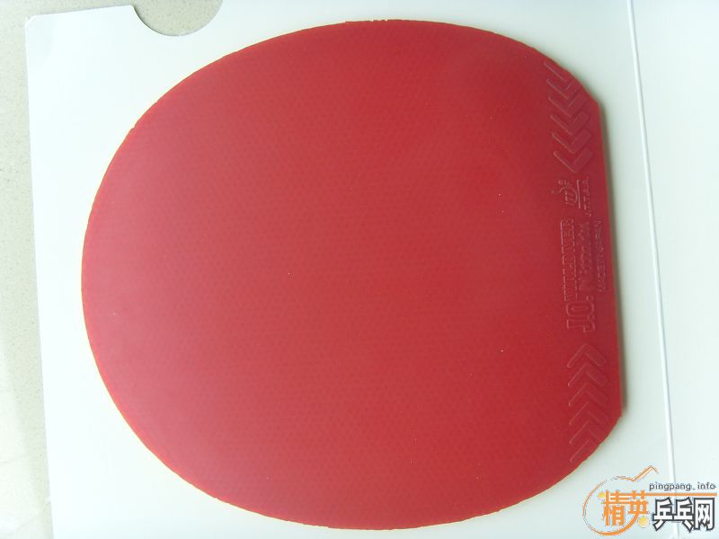 ����EL MAX��������JO�����׽�100Ԫ����