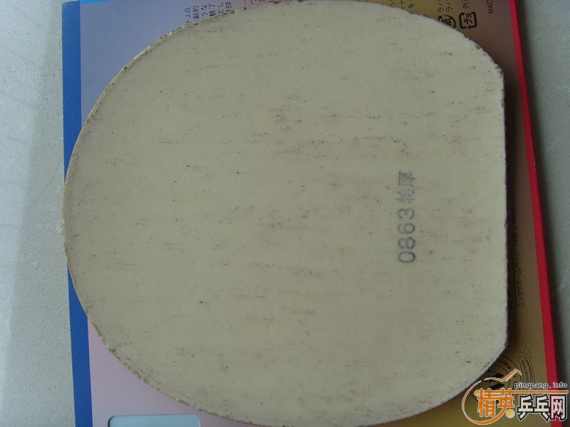 ����EL MAX��������JO�����׽�100Ԫ����