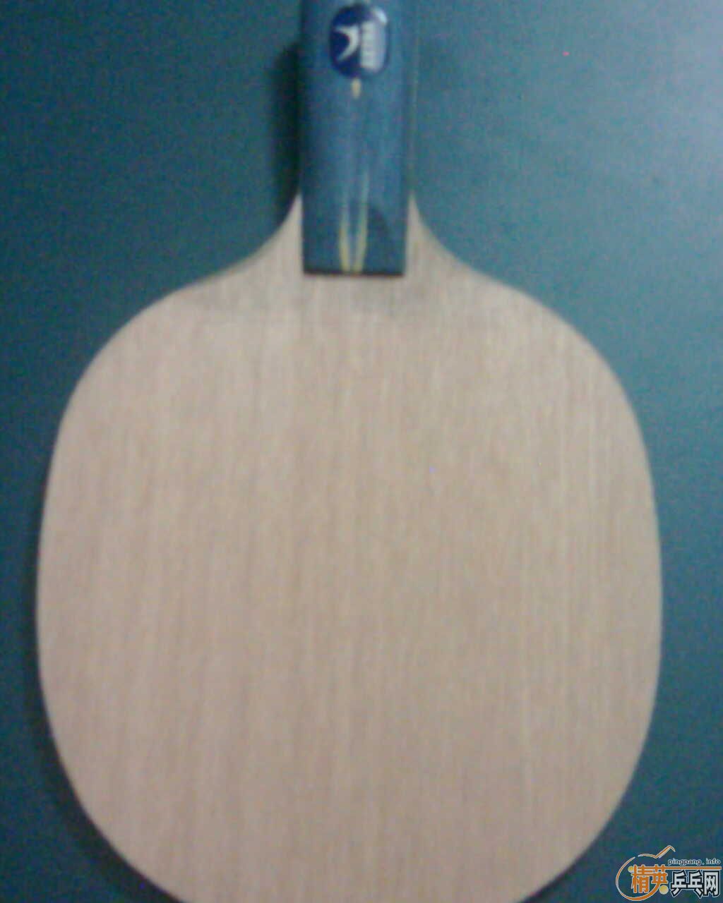 ��9.5���հ�YE����