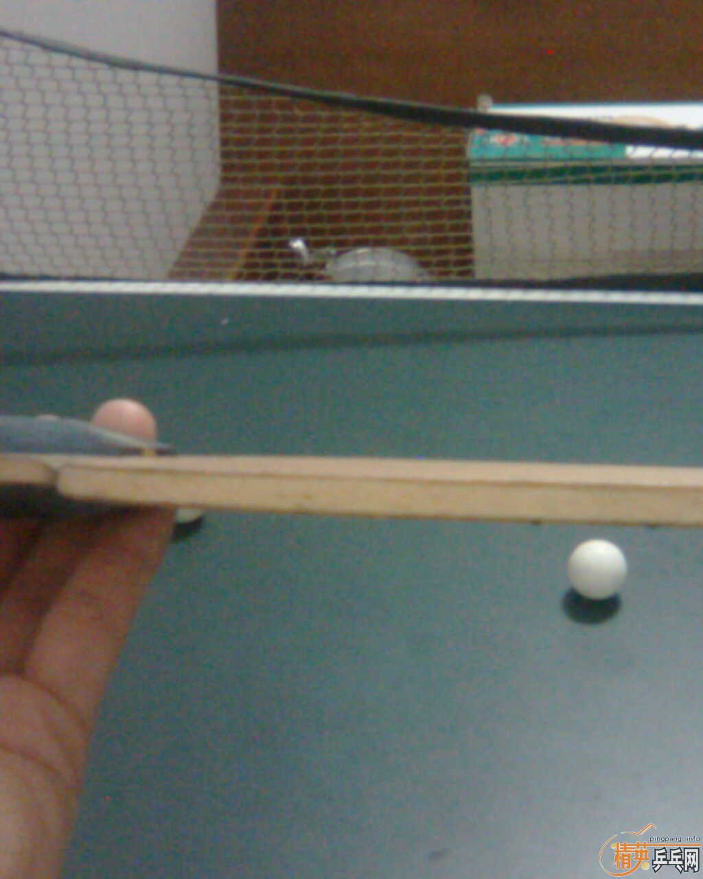 ��9.5���հ�YE����