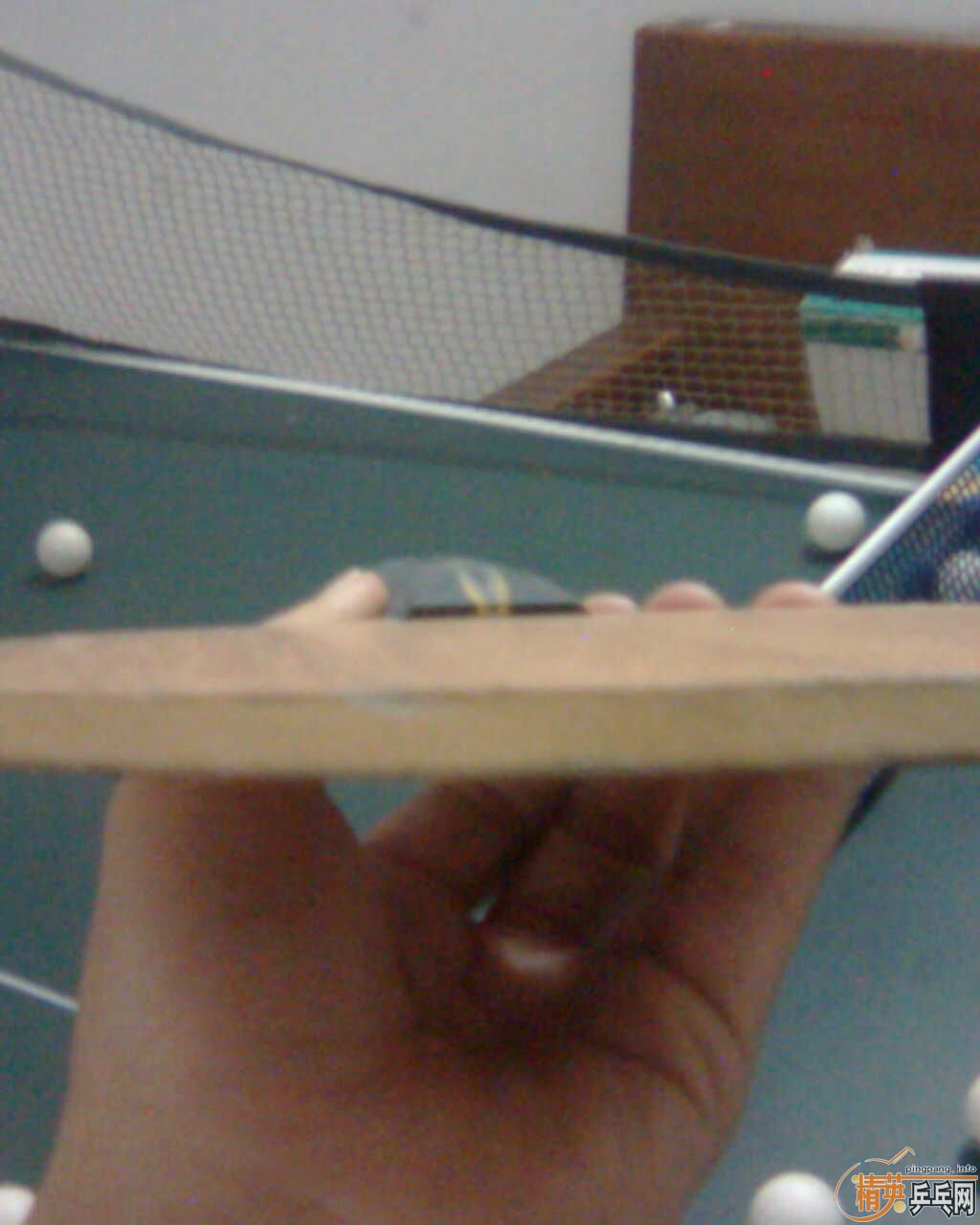 ��9.5���հ�YE����