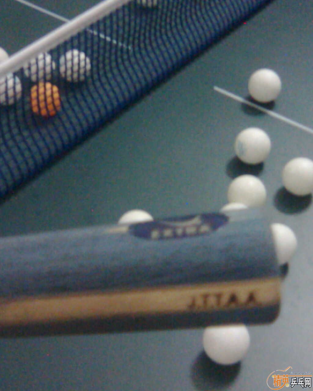 ��9.5���հ�YE����