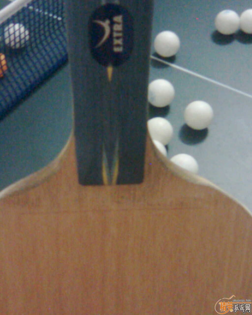 ��9.5���հ�YE����