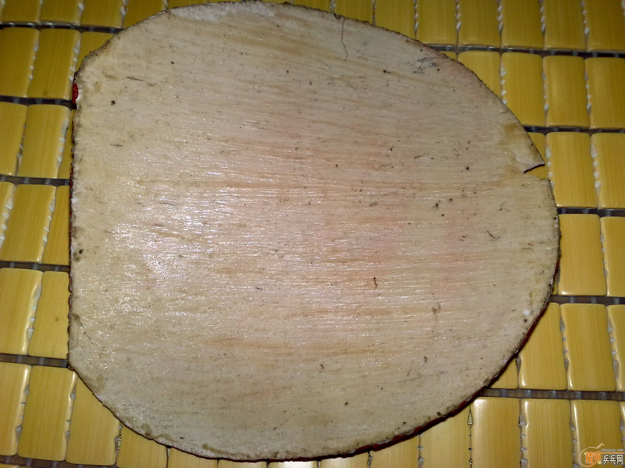 ��FX,�����أ����ˣ��տ�ʡ��563-1