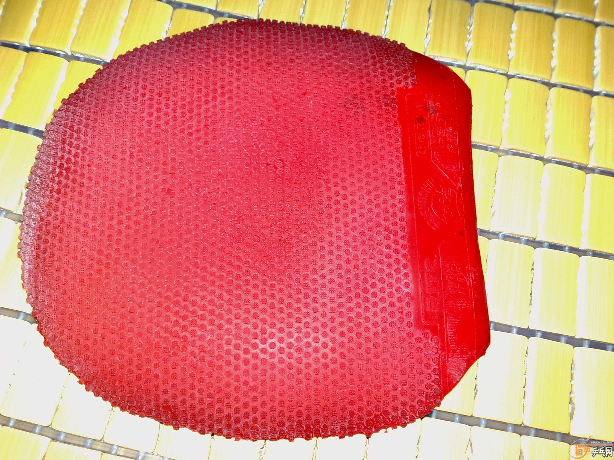 ��FX,�����أ����ˣ��տ�ʡ��563-1