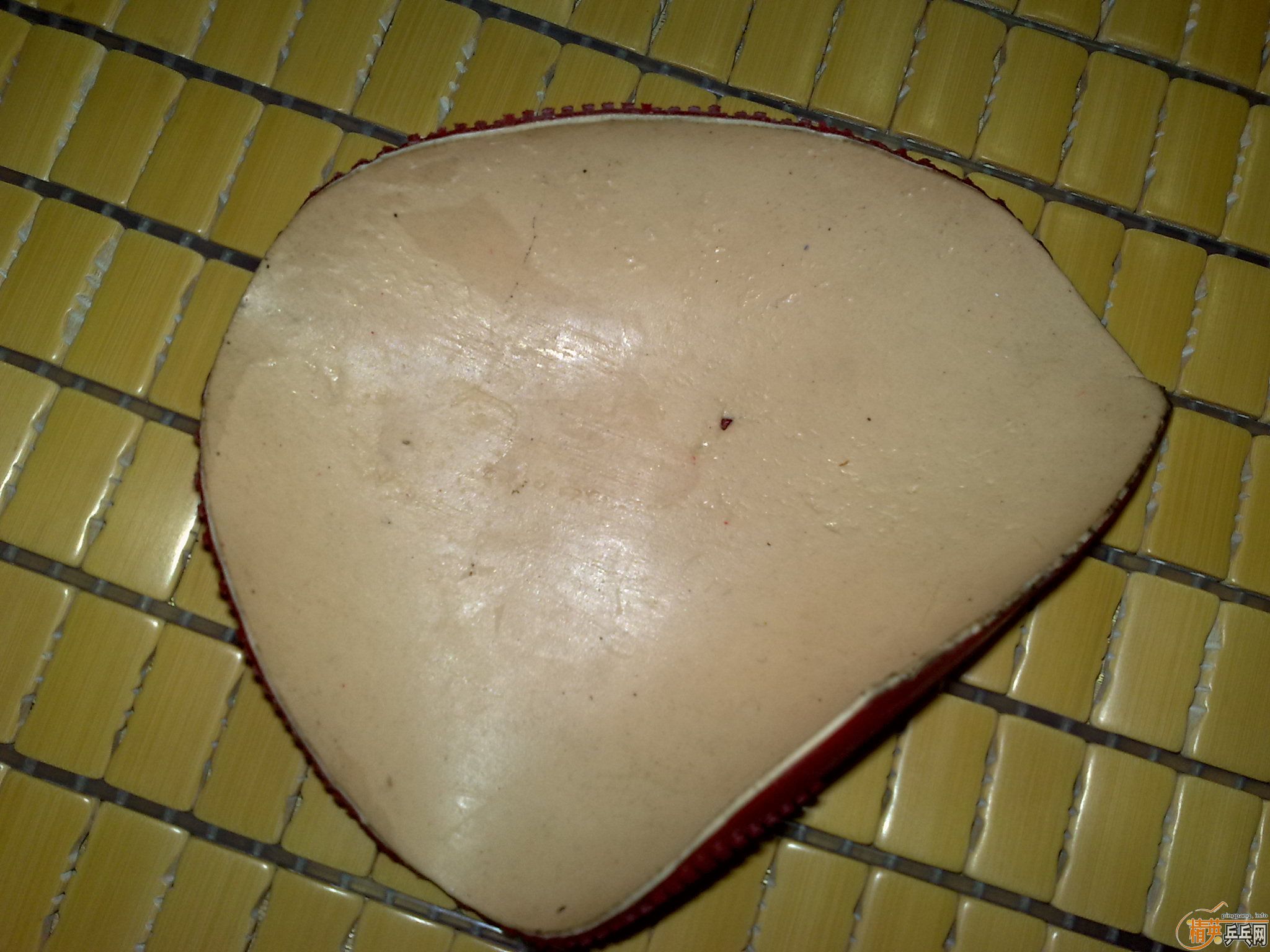 ��FX,�����أ����ˣ��տ�ʡ��563-1