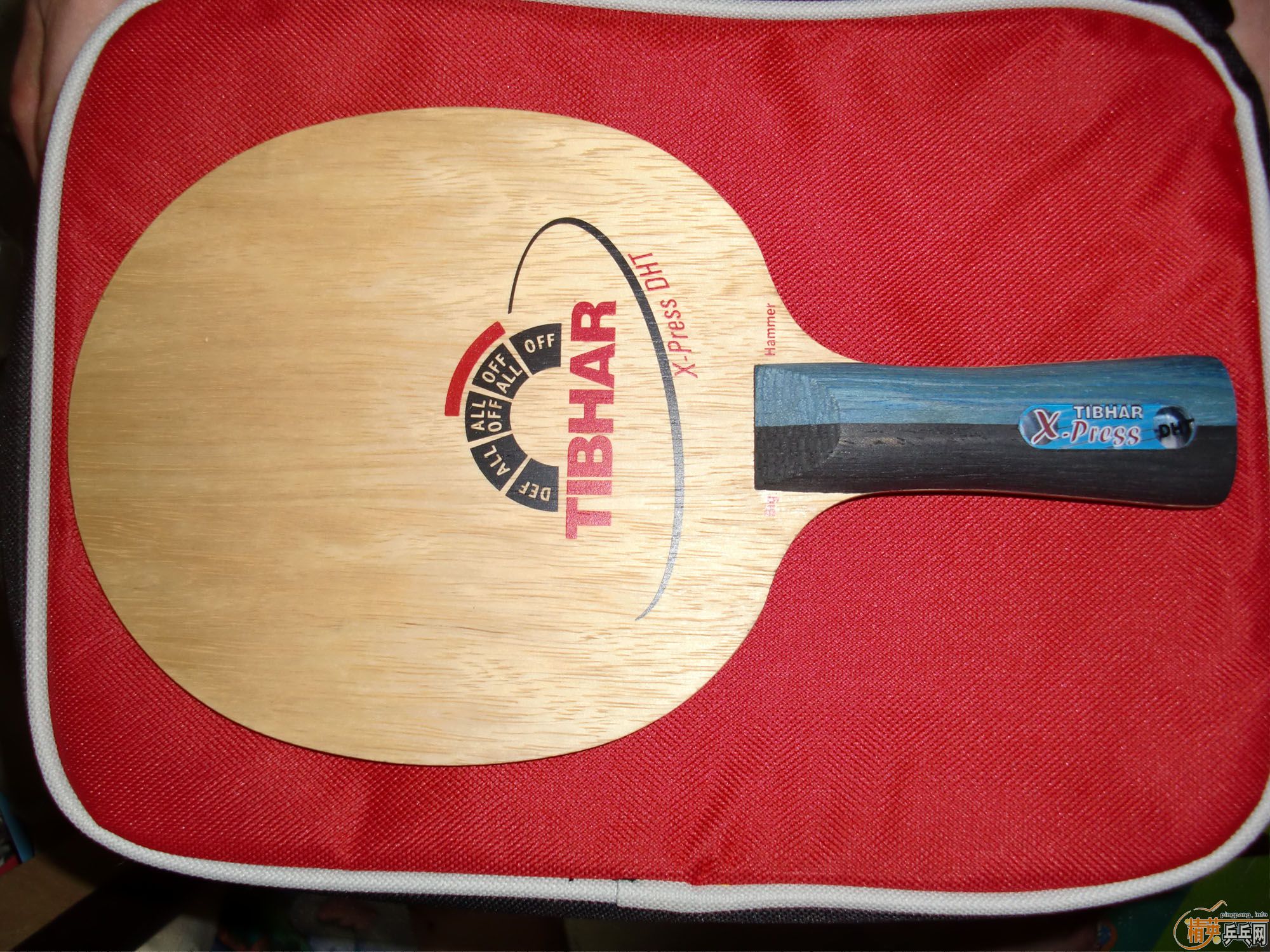 ͦ������