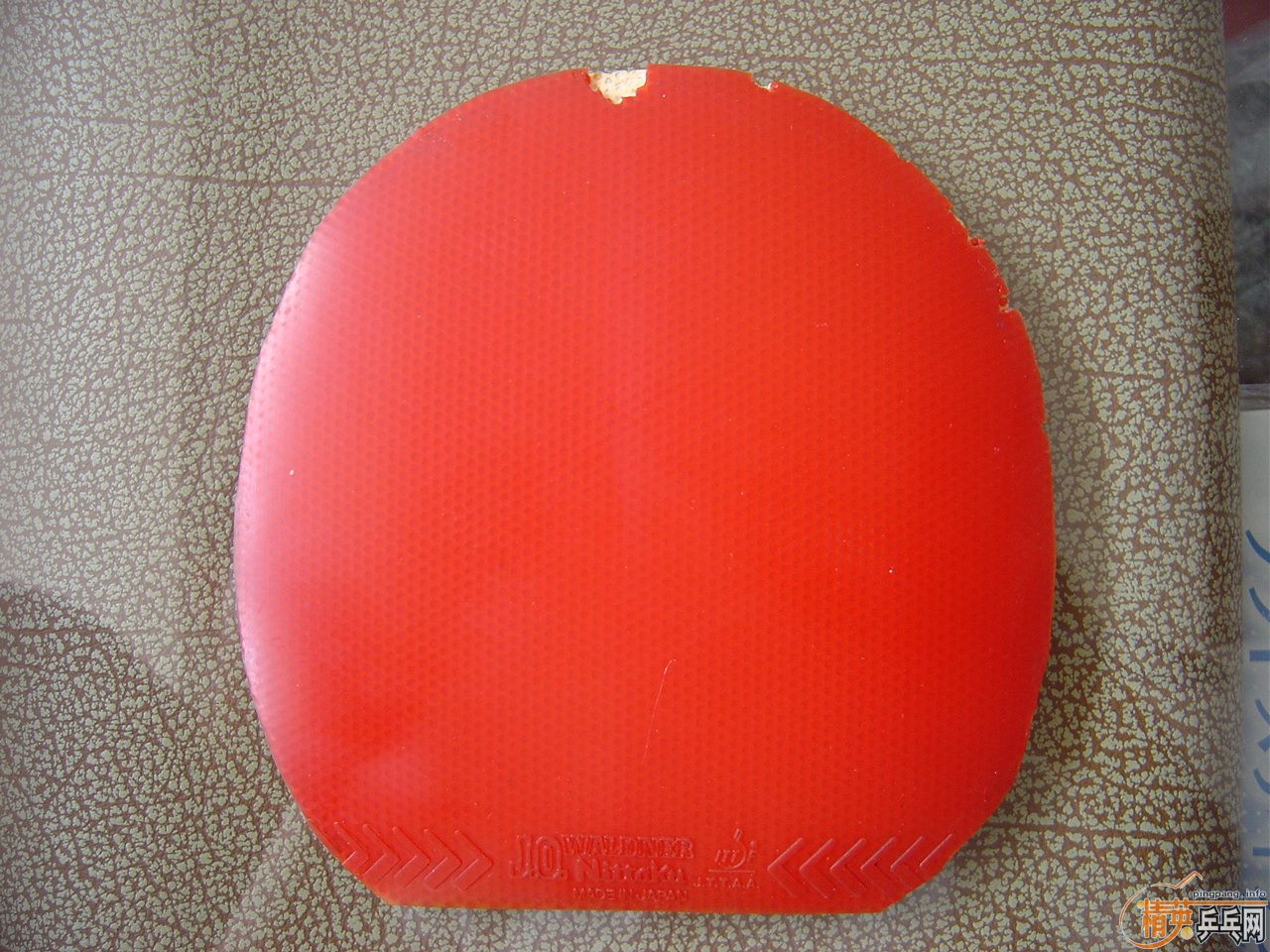 tenergy 05 80 nittaku jo  40 ���120�����