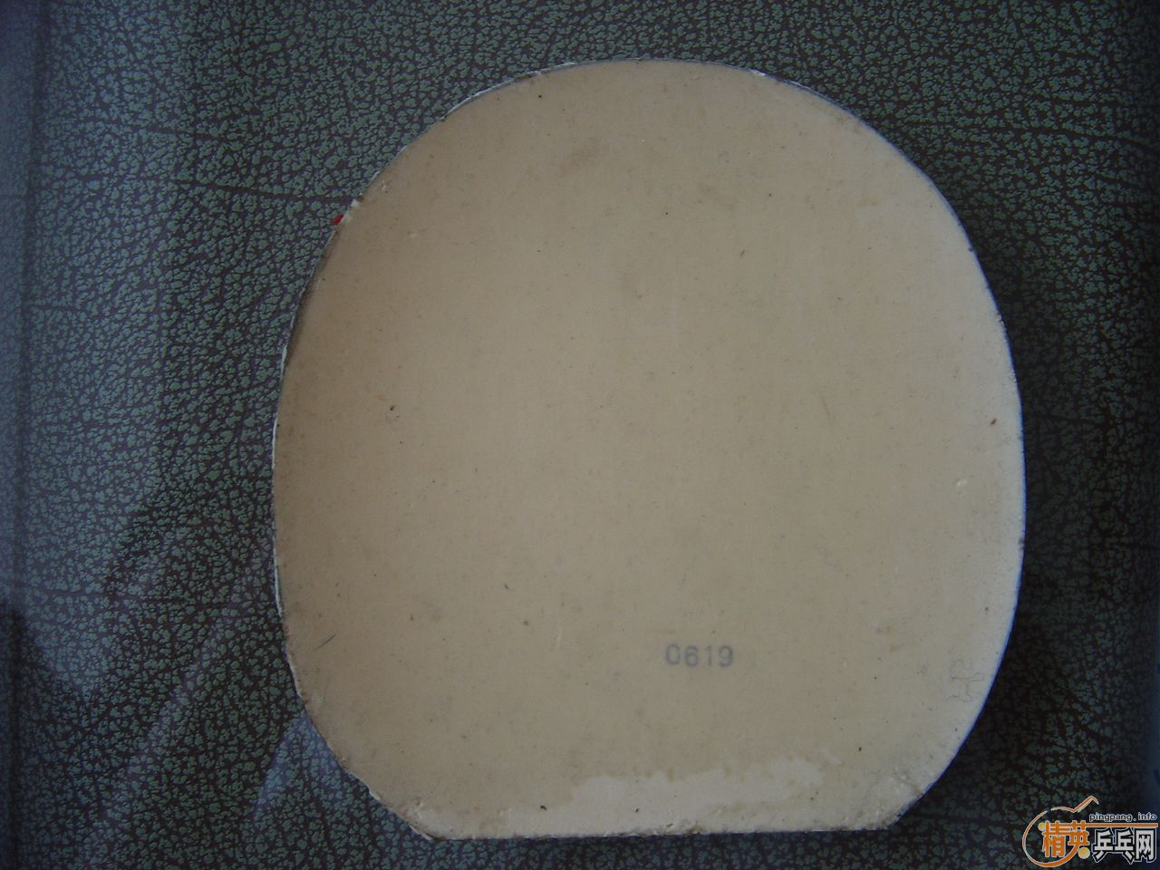 tenergy 05 80 nittaku jo  40 ���120�����