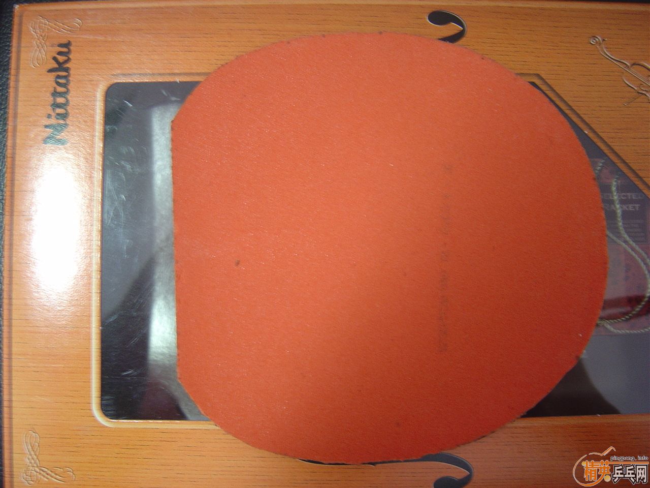 tenergy 05 80 nittaku jo  40 ���120�����