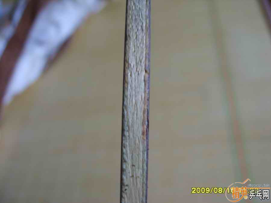 ��06���л�YEO