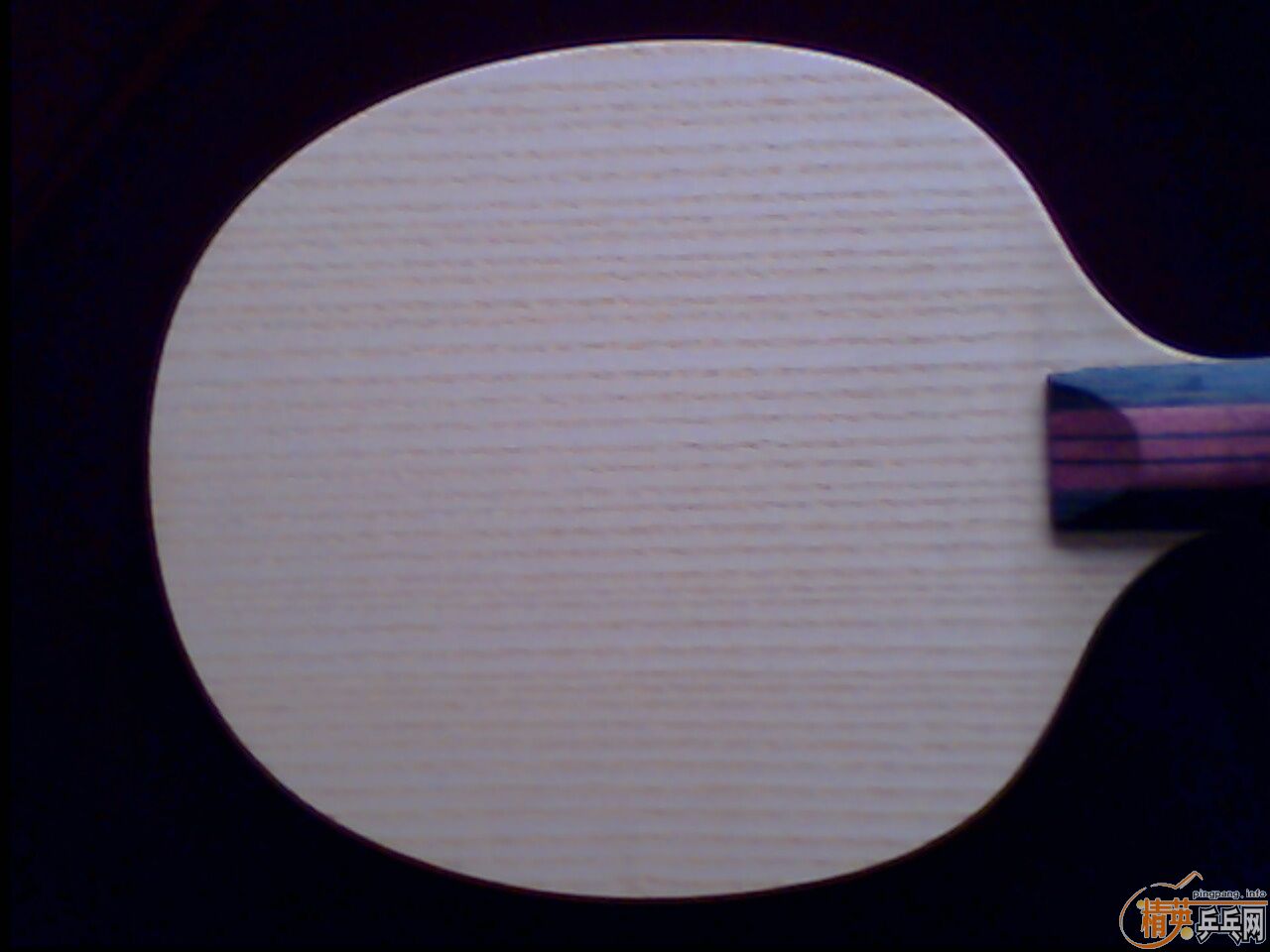 �ö�������Ʒ�࣬99��NITTAKUС���٣�620���ʳ���