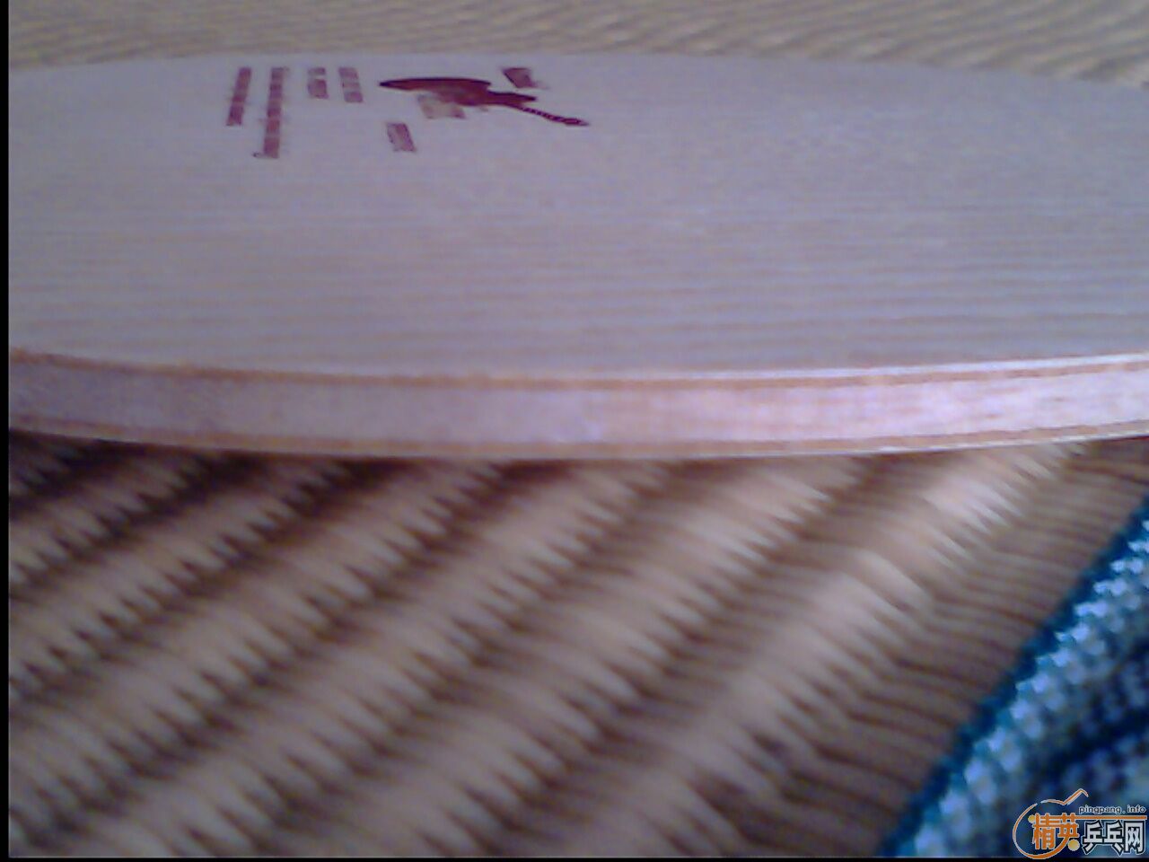 �ö�������Ʒ�࣬99��NITTAKUС���٣�620���ʳ���