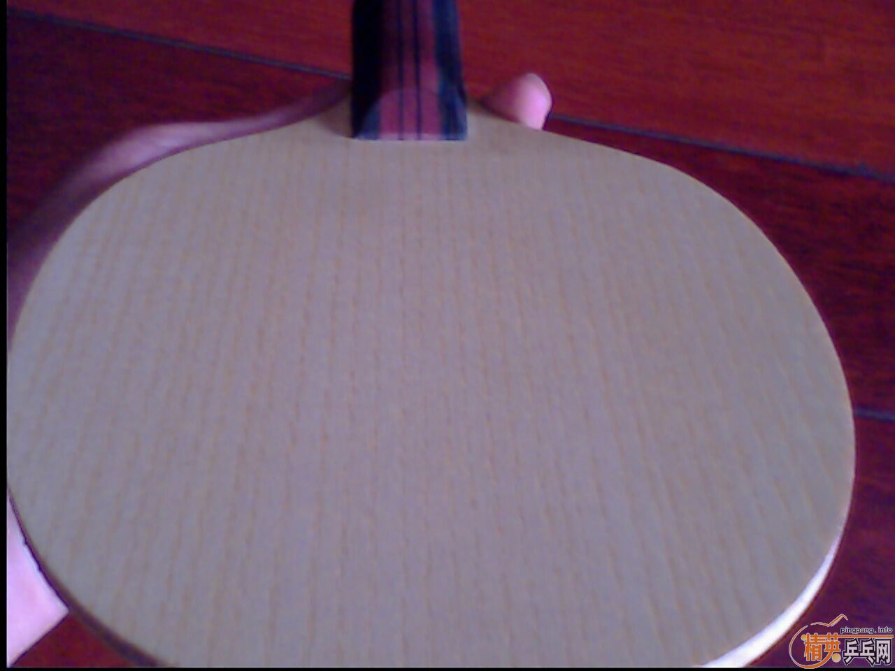 �ö�������Ʒ�࣬99��NITTAKUС���٣�620���ʳ���