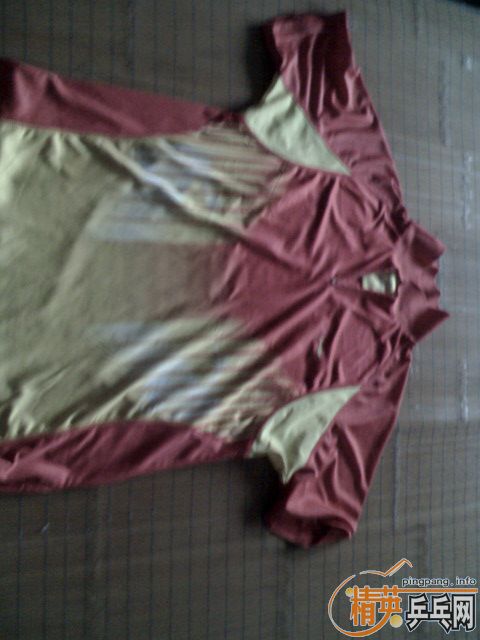 ��Ʒ����ƹ�Ҷ���T�� 100��