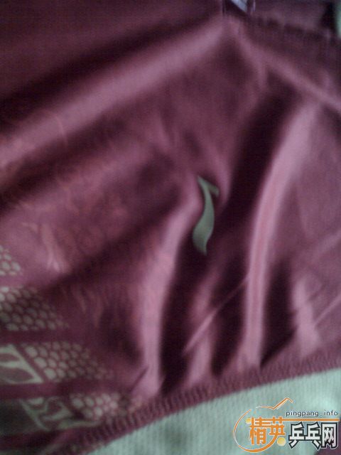 ��Ʒ����ƹ�Ҷ���T�� 100��