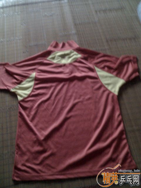 ��Ʒ����ƹ�Ҷ���T�� 100��