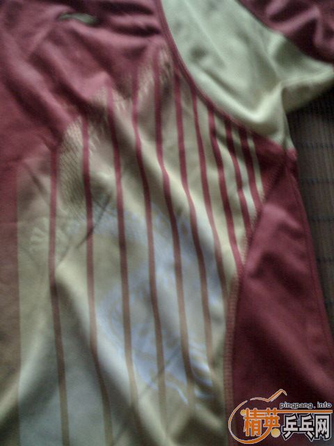 ��Ʒ����ƹ�Ҷ���T�� 100��