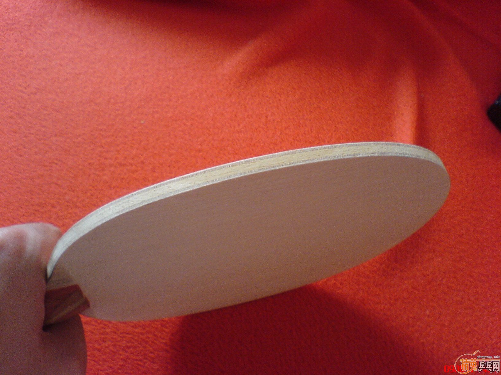 ���գ�9.8���������գ����ƣ����