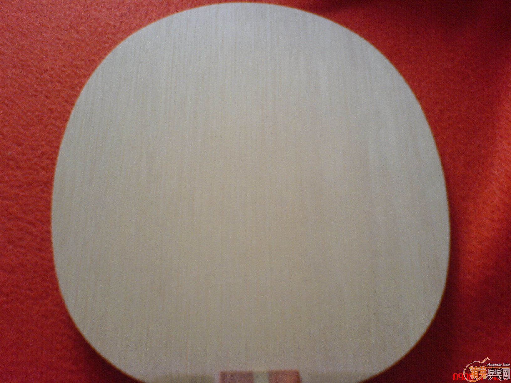 ���գ�9.8���������գ����ƣ����