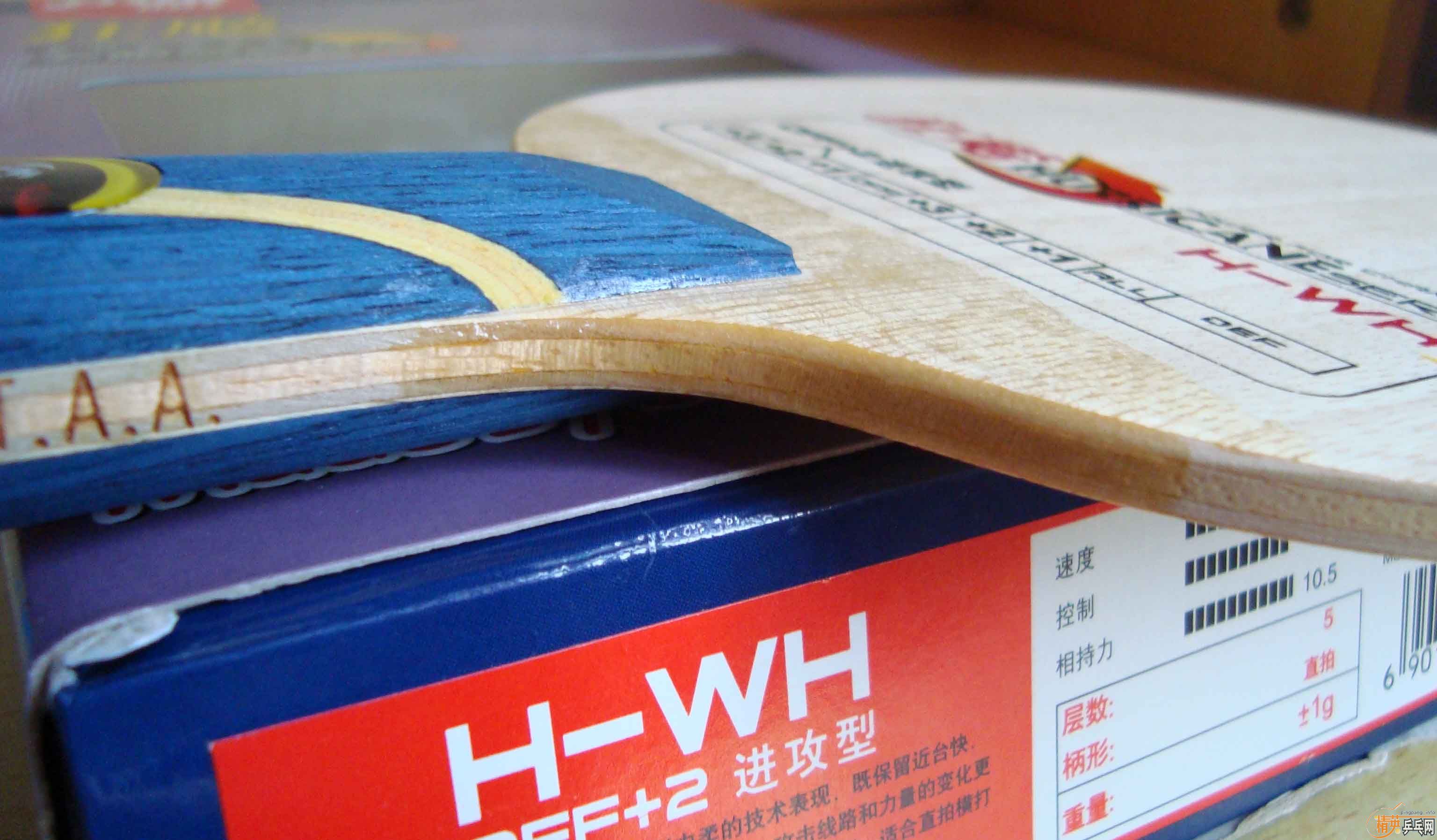 ��֧��֧����������˫ϲ������H-WH