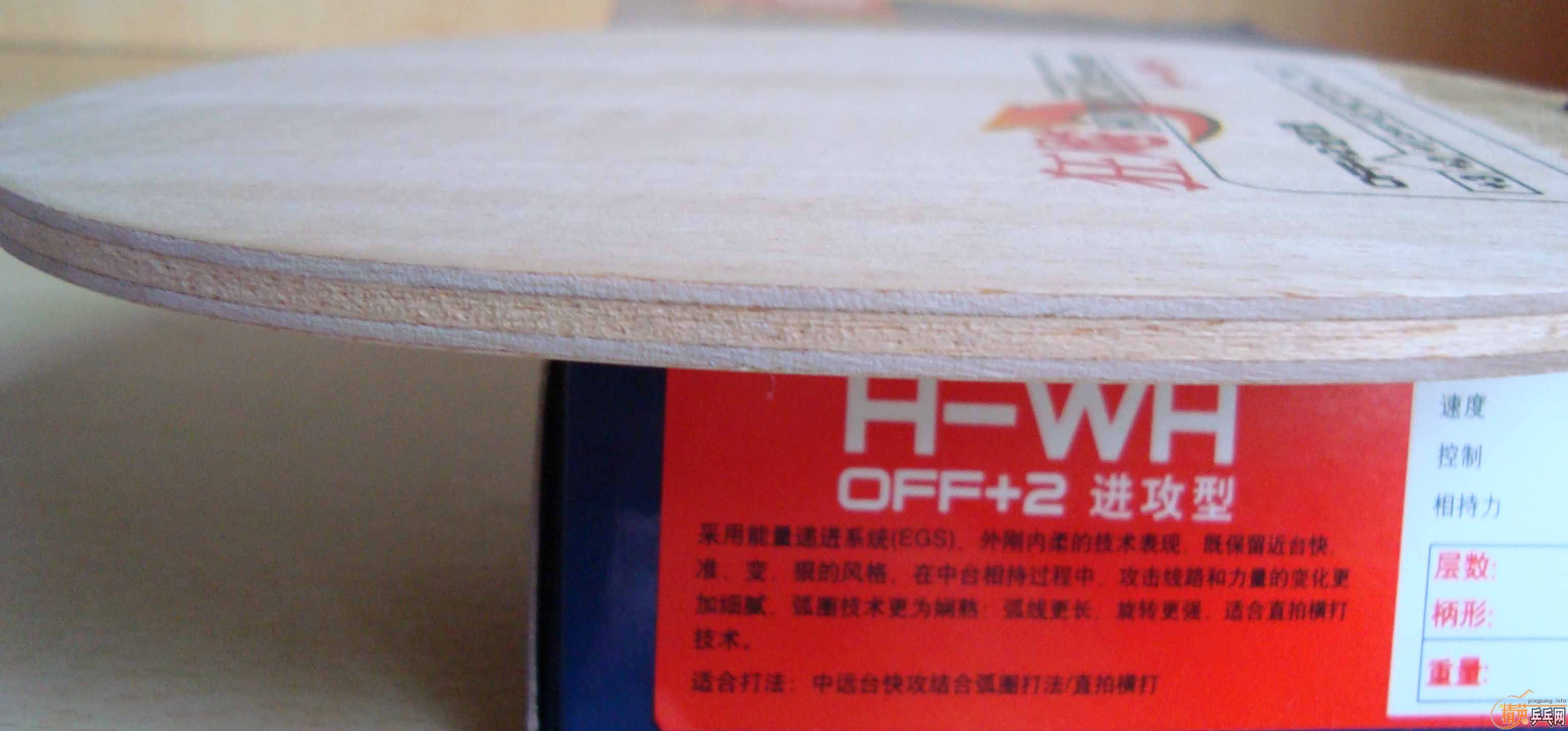 ��֧��֧����������˫ϲ������H-WH