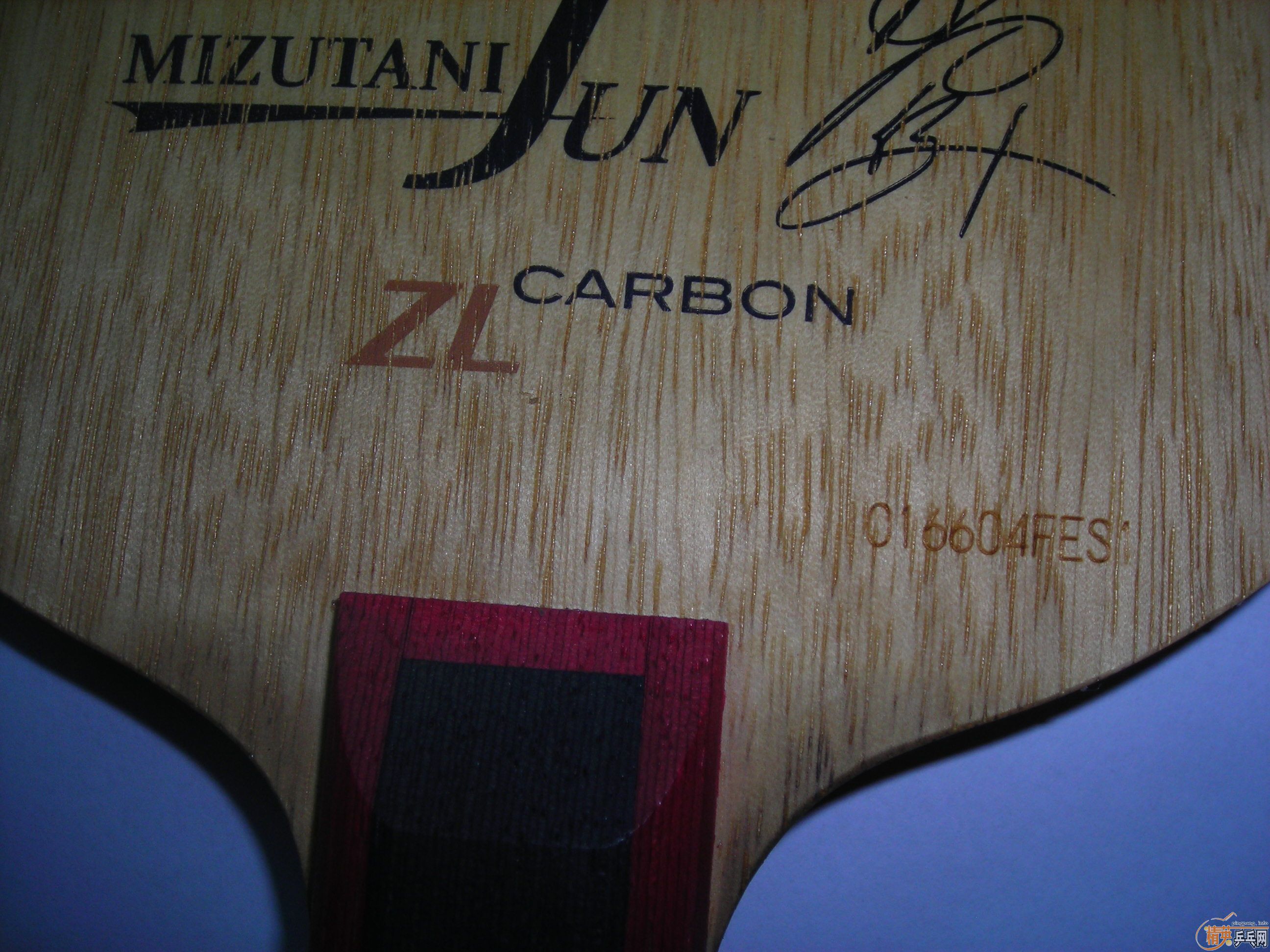 ��ST��ˮ����