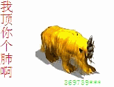 2009ƹγɼ