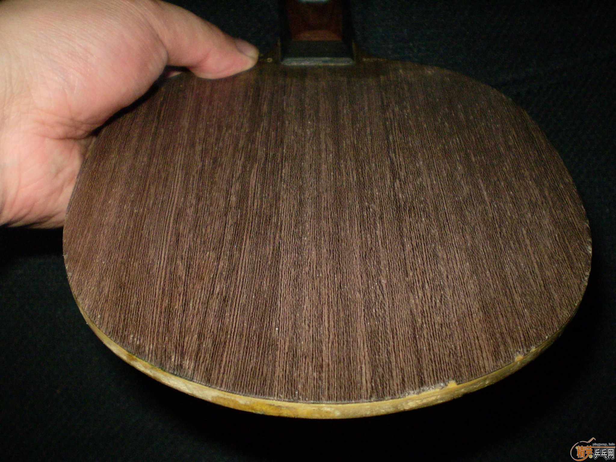 [ע��]�ݱ�ƹ̳������oc��