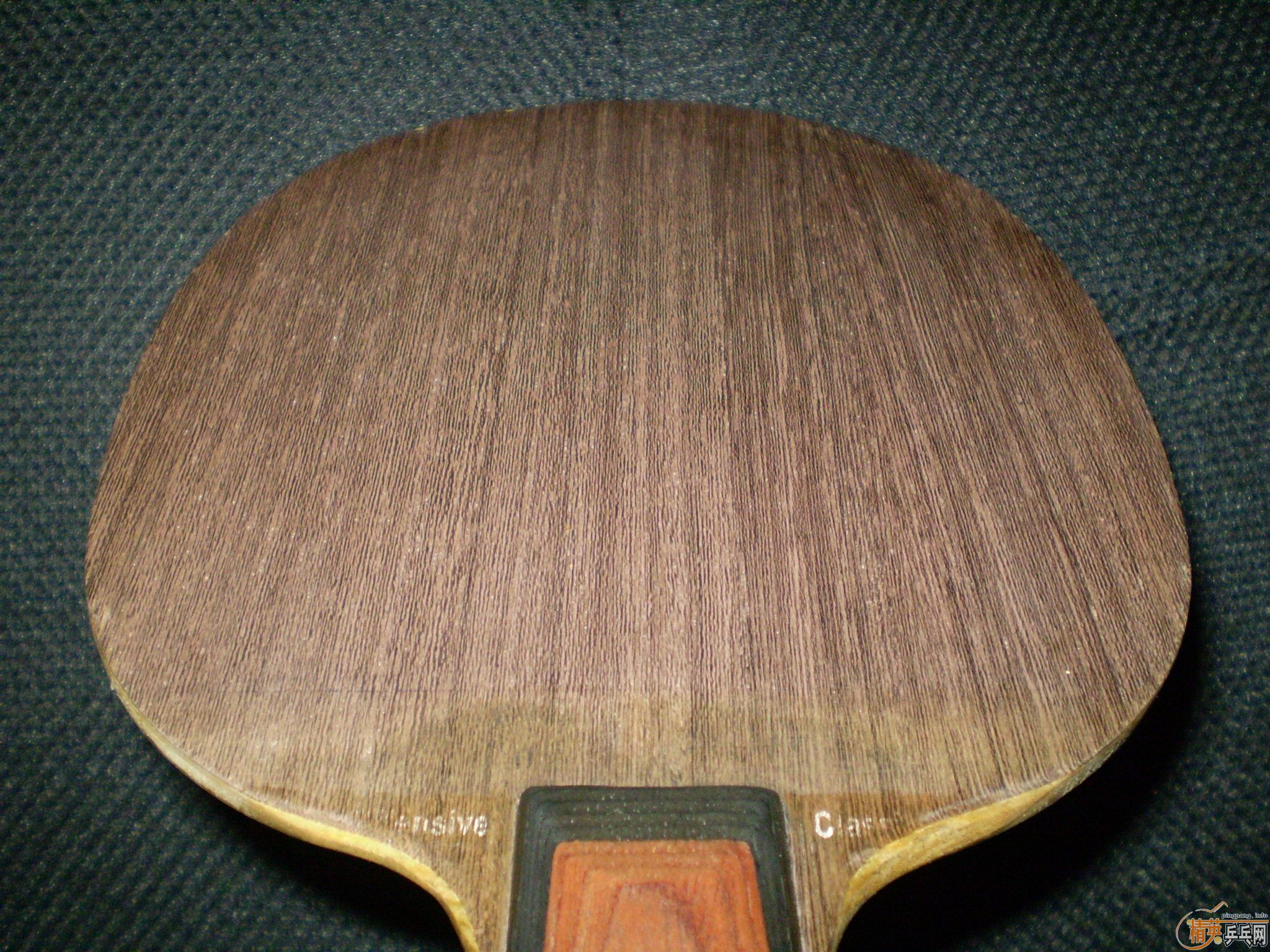 [ע��]�ݱ�ƹ̳������oc��